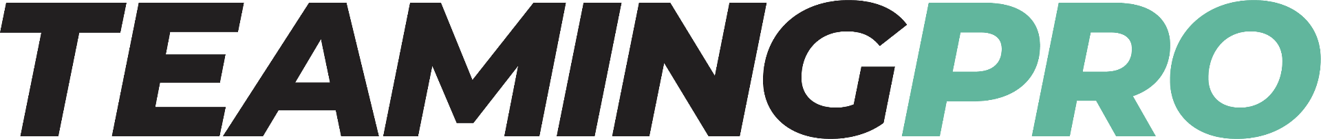 TeamingPro logo